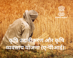 कृषि-उद्यमीकरण-और-कृषि-व्यवसाय-योजना-ए-पीआई-