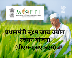 प्रधानमंत्री सूक्ष्म खाद्य उद्योग उन्नयन योजना (पीएम-एसएफएम)